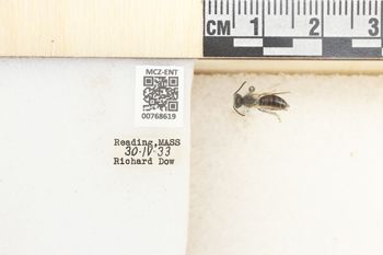 Media type: image;   Entomology 768619 Aspect: Labels